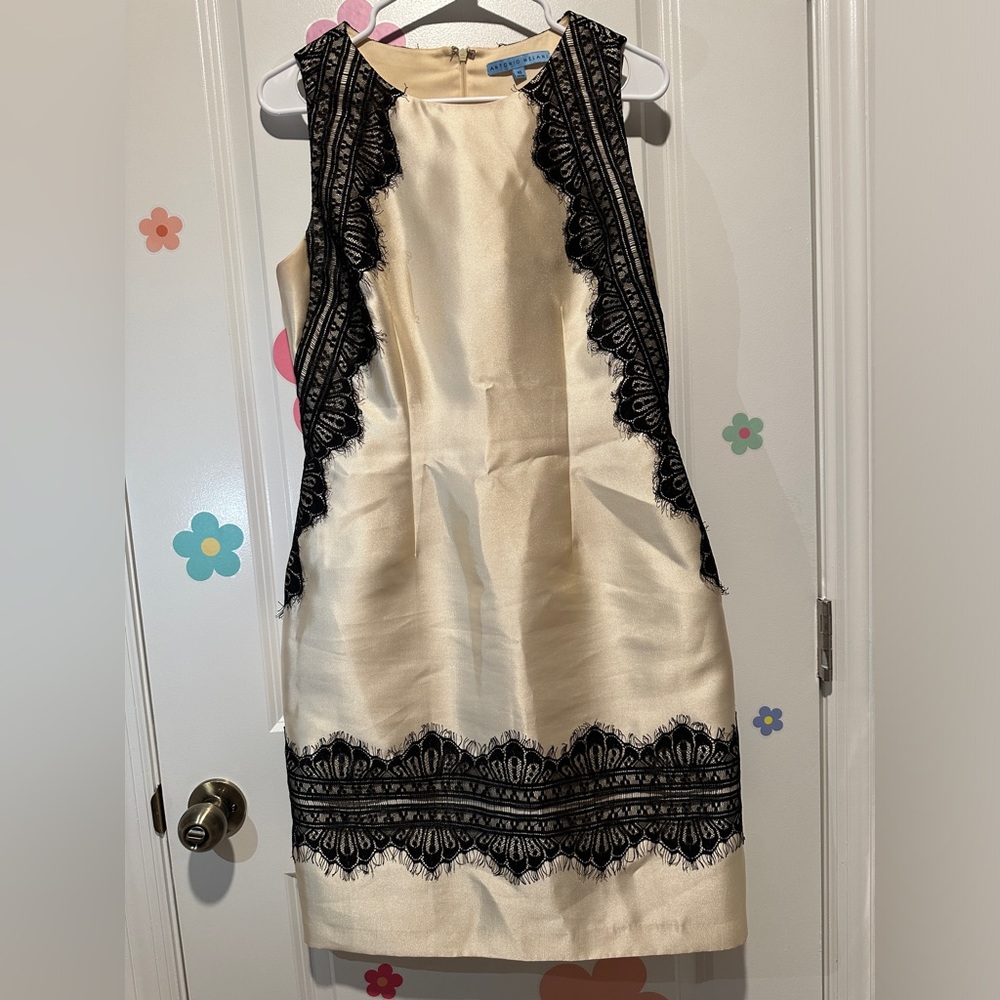 Anitonio Melani Dress